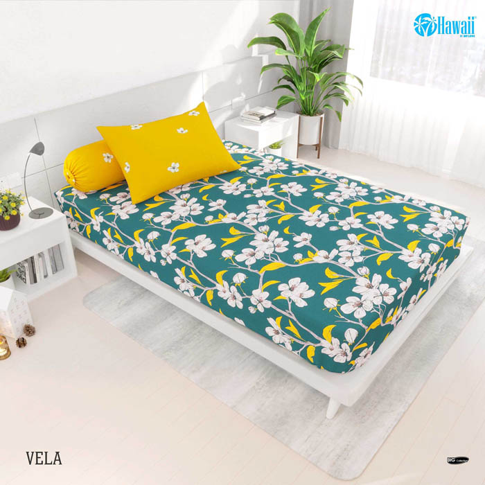 Vela